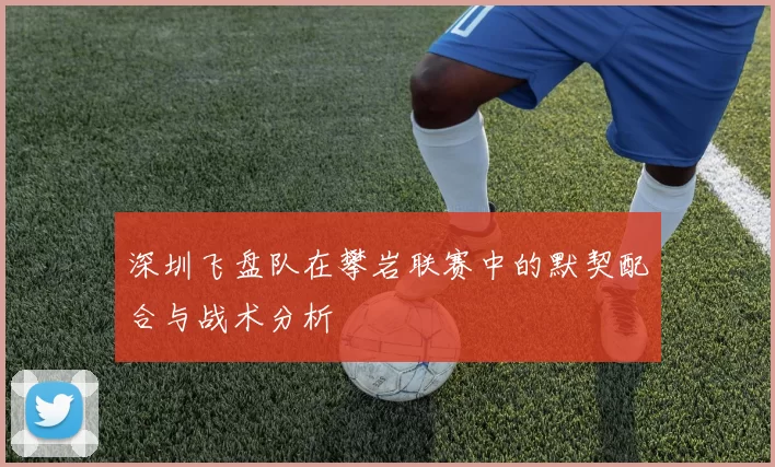 深圳飞盘队在攀岩联赛中的默契配合与战术分析