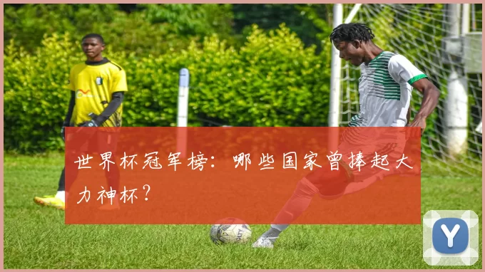 世界杯冠军榜:哪些国家曾捧起大力神杯?