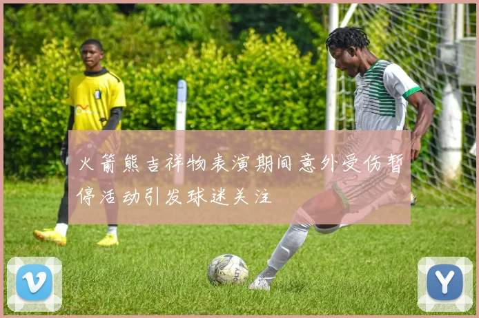 火箭熊吉祥物表演期间意外受伤暂停活动引发球迷关注