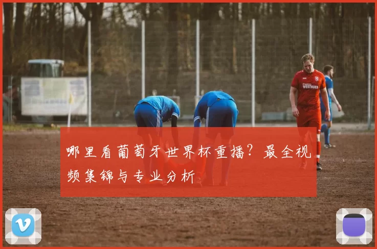 哪里看葡萄牙世界杯重播？最全视频集锦与专业分析