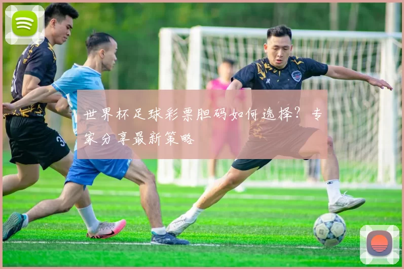世界杯足球彩票胆码如何选择？专家分享最新策略
