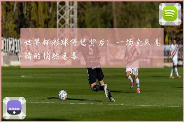 世界杯彩球停售背后：一场全民竞猜的悄然落幕