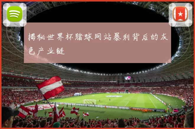 揭秘世界杯赌球网站暴利背后的灰色产业链