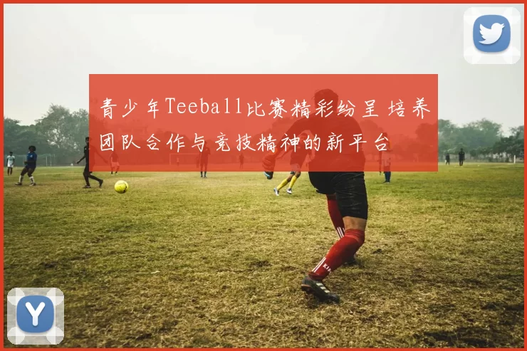 青少年Teeball比赛精彩纷呈 培养团队合作与竞技精神的新平台