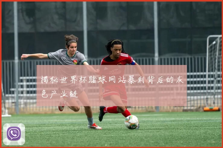 揭秘世界杯赌球网站暴利背后的灰色产业链