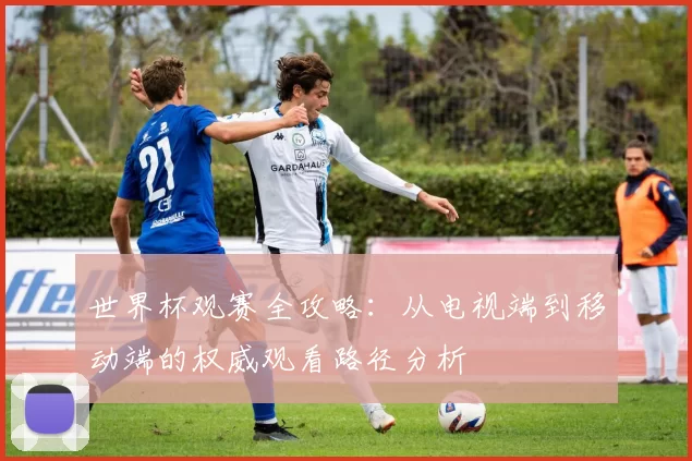 世界杯观赛全攻略：从电视端到移动端的权威观看路径分析