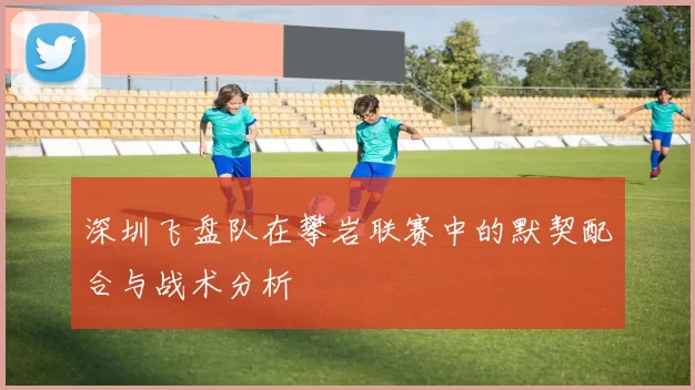 深圳飞盘队在攀岩联赛中的默契配合与战术分析
