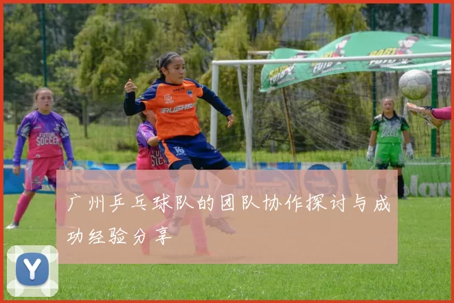 广州乒乓球队的团队协作探讨与成功经验分享
