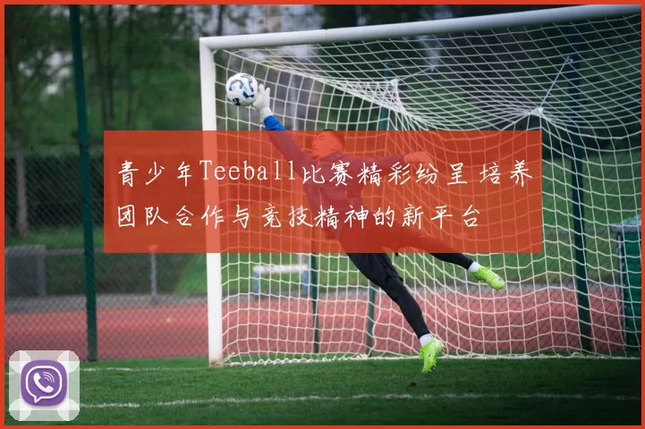 青少年Teeball比赛精彩纷呈 培养团队合作与竞技精神的新平台