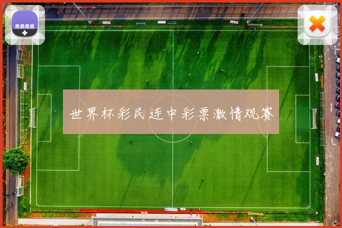 世界杯彩民连中彩票激情观赛
