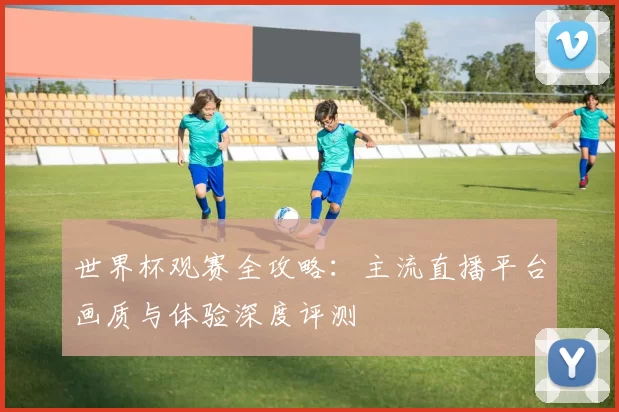 世界杯观赛全攻略：主流直播平台画质与体验深度评测